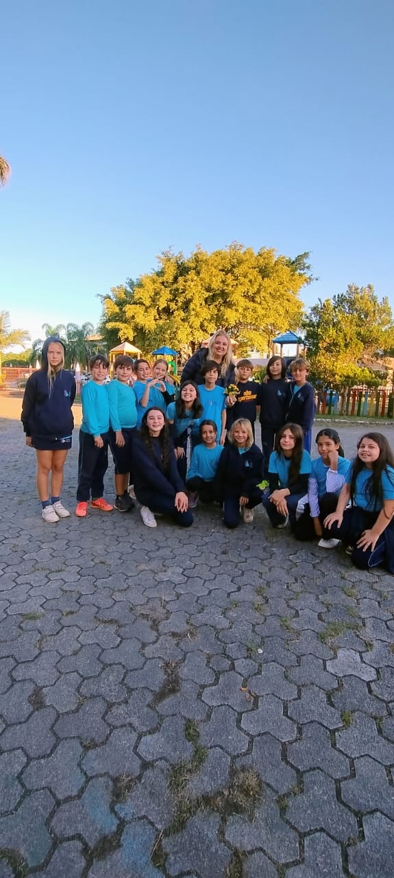 Ensino Fundamental I