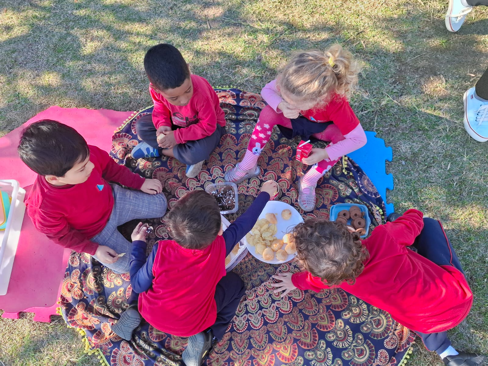Educação Infantil